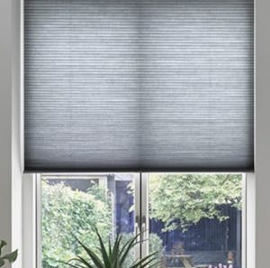 Standard Model (110)